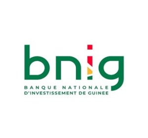BNIG - Banque Nationale d'Investissement de Guinée
