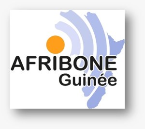 AFRIBONE Guinée
